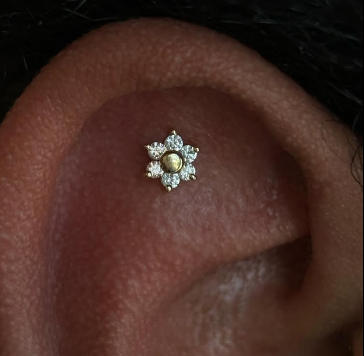 Conch piercing with crystal flower star stud