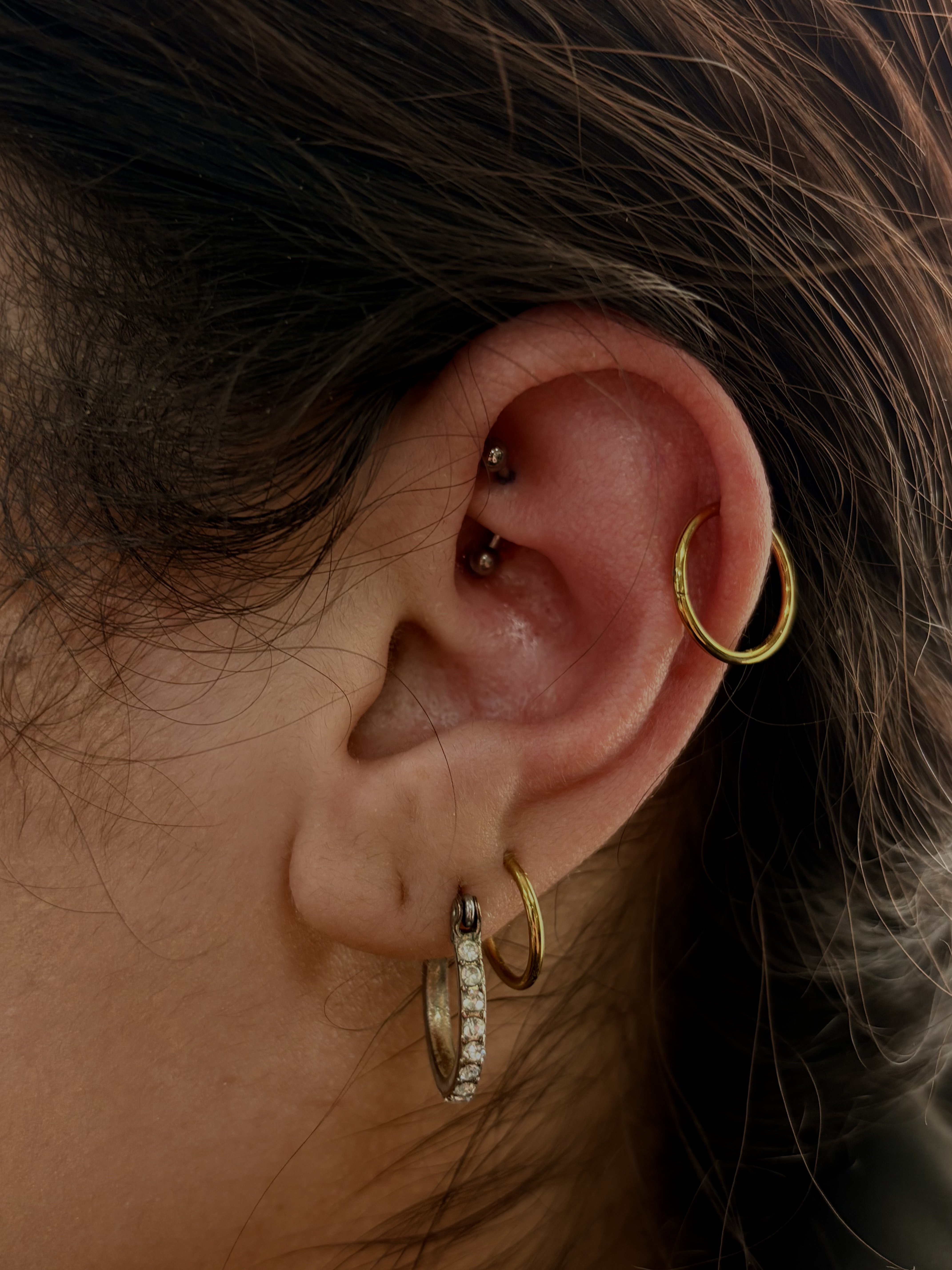 Dark rook piercing with gold conch hoop and gold lobe hoops